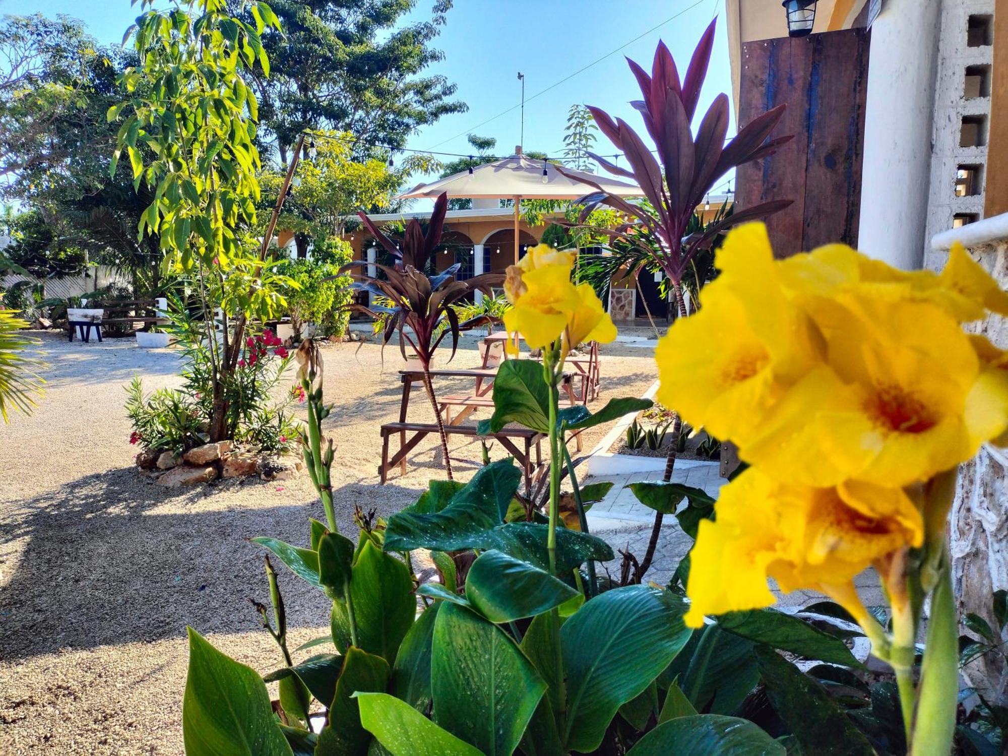 Villa Gabriela Celestun -Hotel & Restaurant Zewnętrze zdjęcie